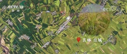 中國農民豐收節 | 衛星“瞰”豐收