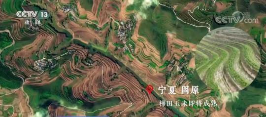 中國農民豐收節 | 衛星“瞰”豐收