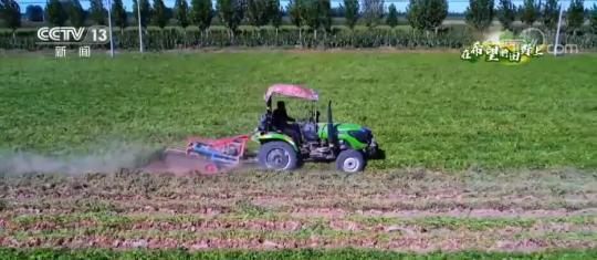 在希望的田野上 | 3.5万亩花生迎丰收 “小花生”变成致富“金豆豆”