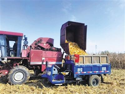 农业科技让黄土高原告别靠天吃饭