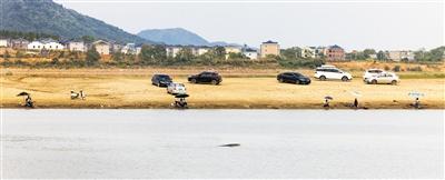 守护“微笑天使”