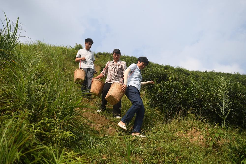 代表访谈 | 乡村振兴之路越走越宽