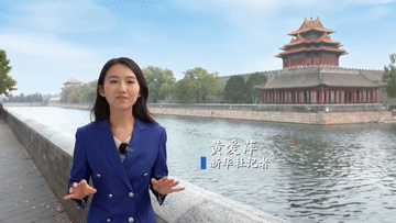 全球连线｜没有共产党 就没有当今的中国——外籍人士感悟中国的成功