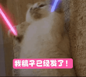 记者节｜如果你身边有人是记者……