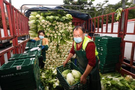 新华全媒+｜多点连线：北京、广东、重庆全力迎战疫情