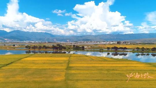 五集微政论片《必由之路》第四集《发展之本》