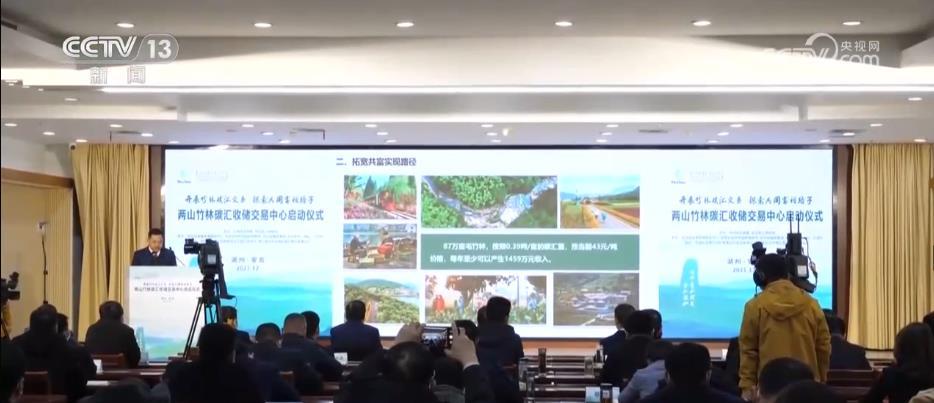 “两山”高效转化富民增收 竹产业全产业链发展焕发新活力