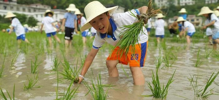 途家民宿：暑期民宿预订量翻番, “租个别墅”正流行