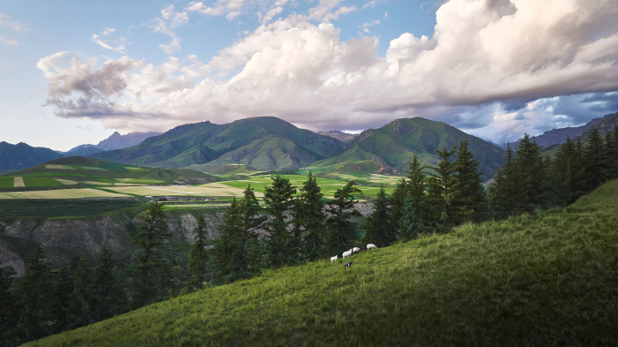 能源自循环体系进入国家公园 蔚来塑造企业社会责任价值样板