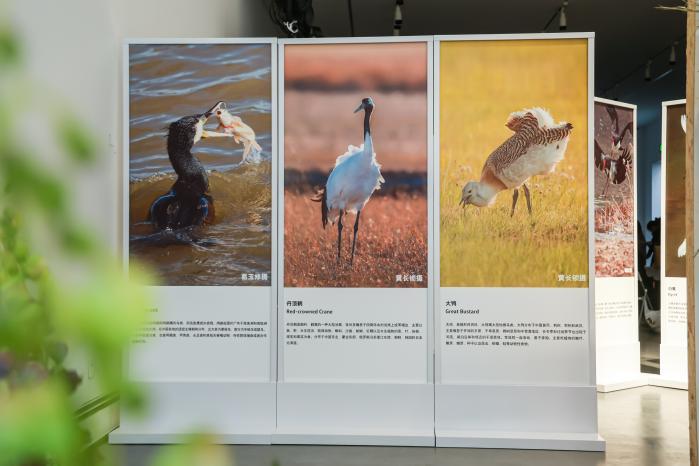 同行·共生 大众汽车金融服务中国助推生物多样性可持续发展