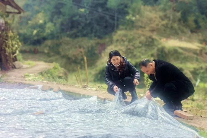 金融生鲜季丨金融“活水”浇灌出巴渝色彩