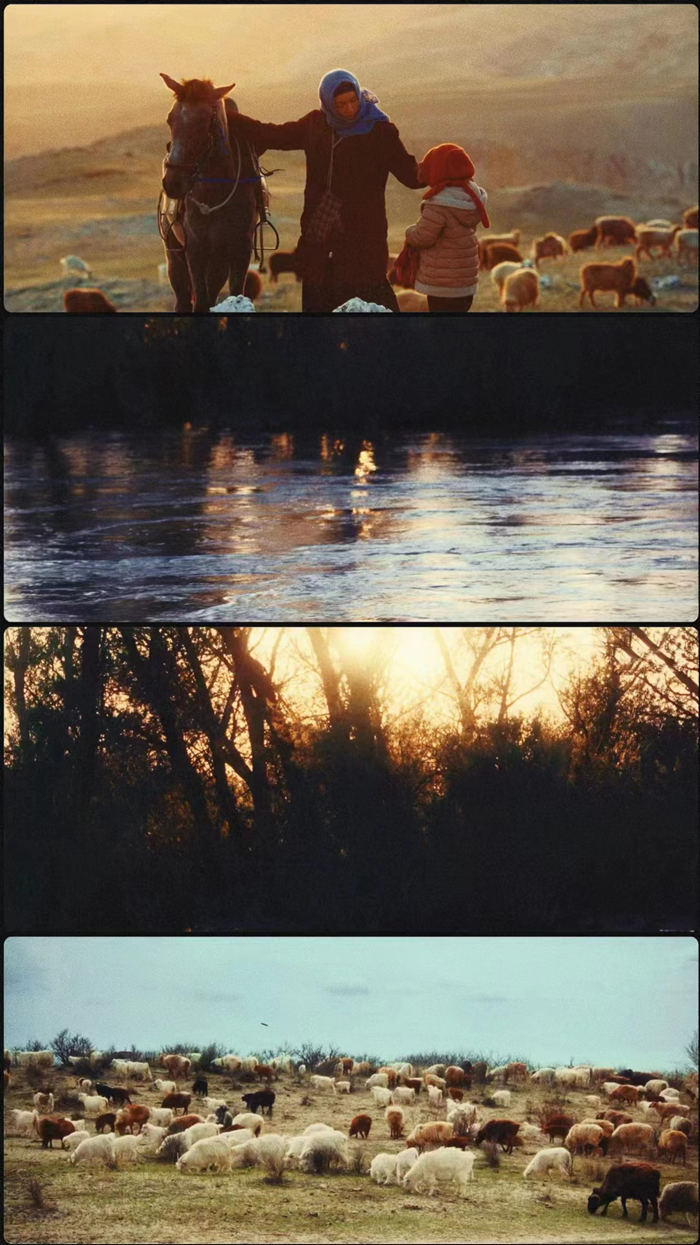 2024国剧豆瓣评分TOP1   专家、学者、影评人点评《我的阿勒泰》为何独特