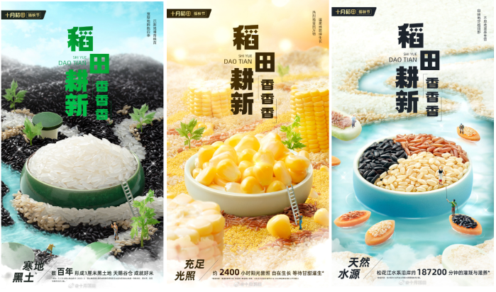 插秧节原产地溯源  源头解锁十月稻田“香香香”品质密码