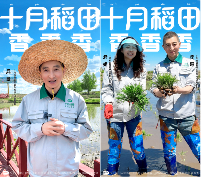 插秧节原产地溯源  源头解锁十月稻田“香香香”品质密码