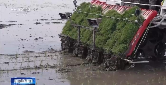 24小时业务自助下单平台蚂蚁，如何轻松提升效率？