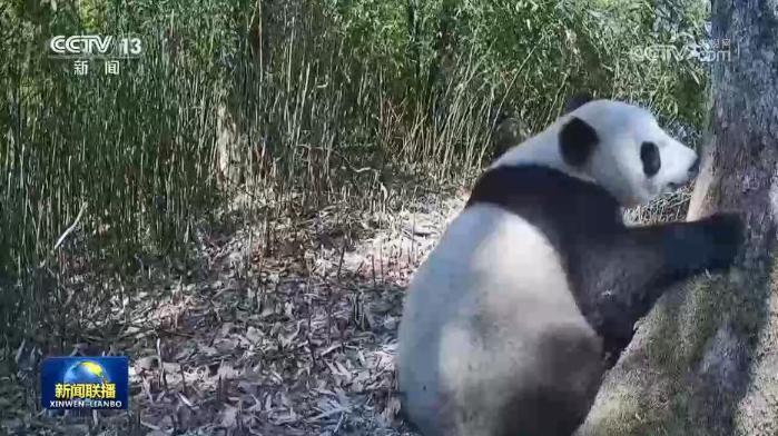 如何轻松提升快手视频浏览量？揭秘刷量网站大揭秘