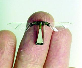 荷兰某大学研制的仿昆虫微型飞行器.