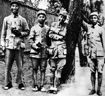 ��������ݷ����ׯ���ø�ţ���ӻ���Ϊ��