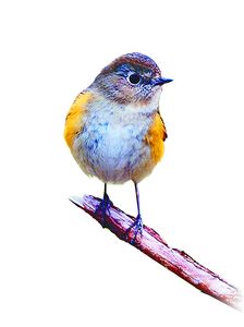 �����壺�������Ѱ�ҳ��ĺۼ�