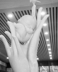 ���������衱���ܷ���ȷ��Ӫ�조�ӡ���˲�䣨ͼ��