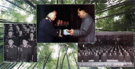 ϸ������Ԫ˧���뵳���̣����߹ٺ�»Ϊ��ı����2��