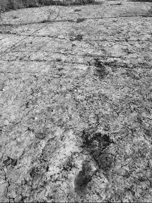 �ӱ���ƽ�����ż���������ʯ�绯�����иͼ��