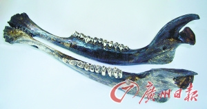 ��������̽�أ���侹ǵ��Ϊ�ҹ����������ͼ��