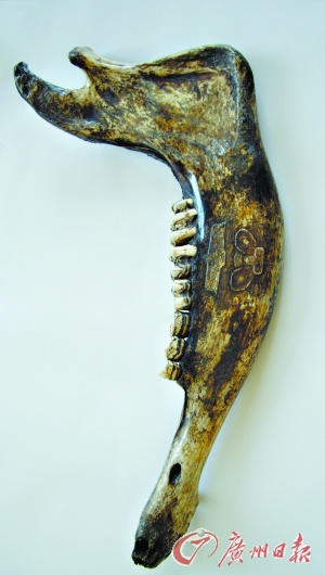 ��������̽�أ���侹ǵ��Ϊ�ҹ����������ͼ����2��