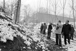 ��ֲ���ᰲ������ڽ��ݣ�ר�ҽ��ھ�Ѱ֤