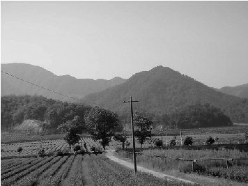 ��������ص�����:��ʱ�����ۺ��ź�����δ�����2��