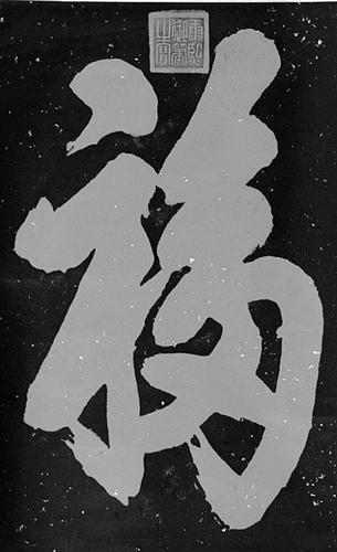 ��������ϰ��д��������������͸�������ο��