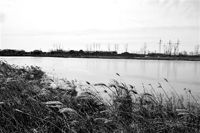 点图查看下一页