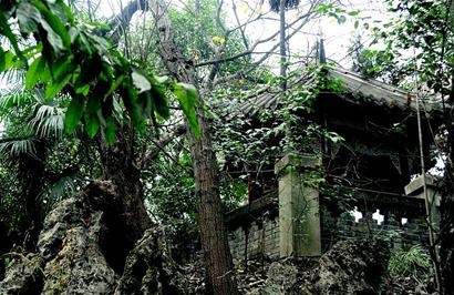 点图查看下一页