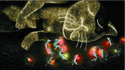 �й������ڹ㵺���ʶ����ڻ�ʱ����Ϊ5�ְ�