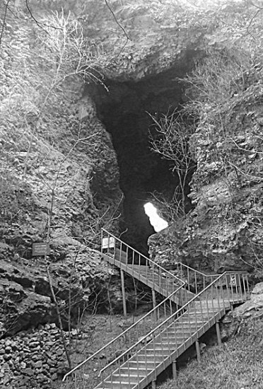 北京直立人可能是食人族 曾与硕鬣狗争抢尸体