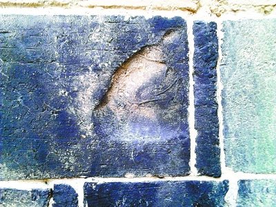 ������ש����������ӡ����ר�ң�Ҥ�������̱�