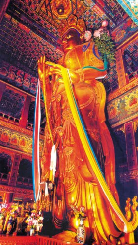 Ӻ�͹��������ԭ��ѡ�òš�����ɮ�����޳�