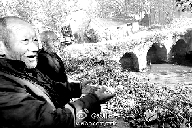 ֣������ʯ����ʼ�������������Կɹ���������