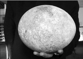 ����һ�����ڳ����񵰻�ʯ����Һ��ζ���ͼ��