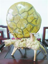 ����һ���Ӻ���ʯ������Ʒ��ʮ����Ф�����صȽ�