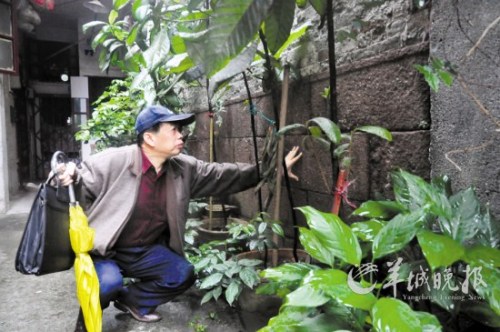 �������Χǽ�������ֵר�Ұ�������ֶα���