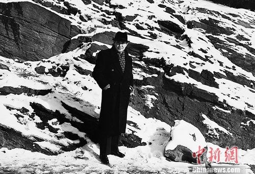 ľ������һ����µ�������ܡ�ľ�ĵ������3��