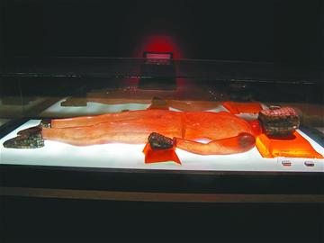 ���ʲ���ݲؽ������£������ֽ�ͷ������֫����