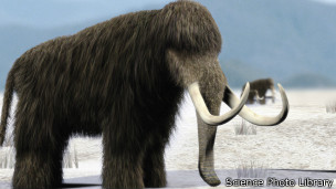 ֤����ʾ�����������������仯����������ɱ