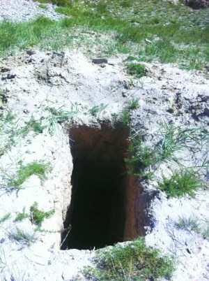 ���຺ĹȺƵ�����������Ƭ�洦�ɼ���ͼ��