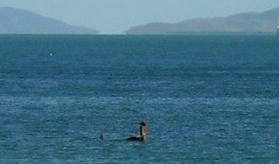 �Ĵ����Ǻ�������������������˹��ˮ�֣�ͼ��