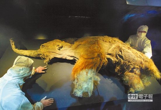 ̨չ��ȫ���1ͷ�����������곤ë���ź���ͼ��