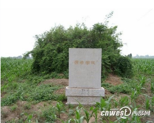 杨昌济墓图片