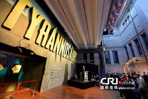 �й���������ʯ�׷ðĴ����Ǻ�����ë������ͼ��