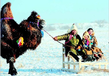 ���ɹ��������������Ļ��ھ���չʾ���������Ļ�